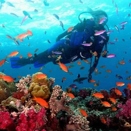 Homestay Traveler's Melenara